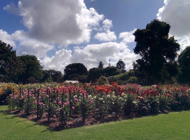 Portland Botanic Gardens, Australia